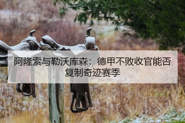 阿隆索与勒沃库森：德甲不败收官能否复制奇迹赛季