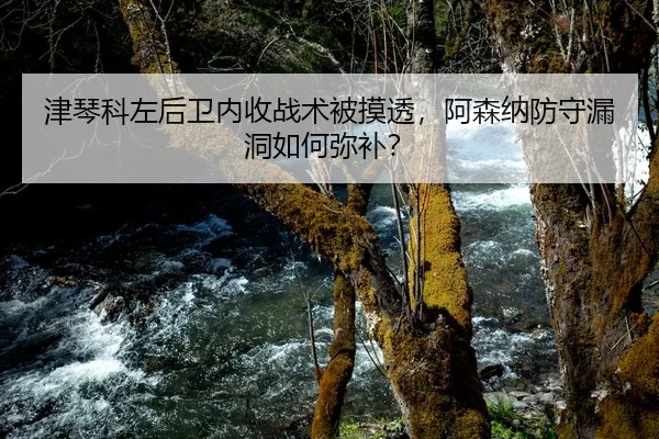 津琴科左后卫内收战术被摸透，阿森纳防守漏洞如何弥补？