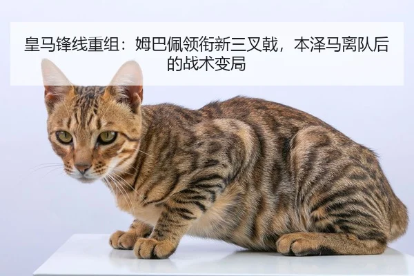 皇马锋线重组：姆巴佩领衔新三叉戟，本泽马离队后的战术变局
