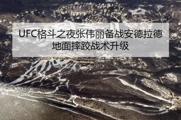 ge-dou-zhi-ye-zhang-wei-li-bei-zhan-an-de-la-de-di-mian-shuai-jiao-zhan-shu-sheng-ji-2-925.jpg