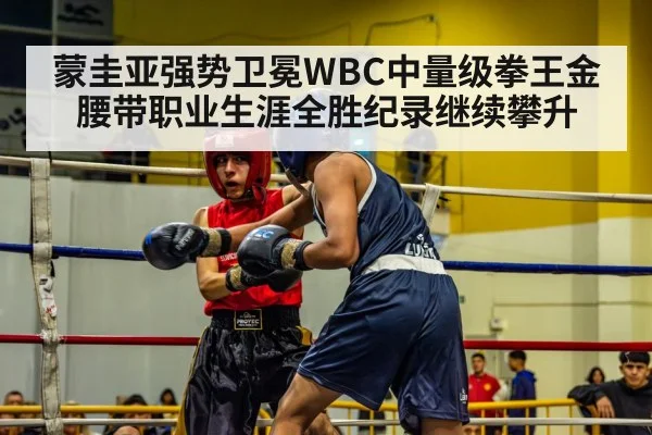 蒙圭亚强势卫冕WBC中量级拳王金腰带职业生涯全胜纪录继续攀升